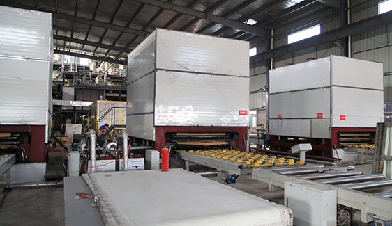 Company profile